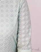 Pista Green Cotton Hakoba Kurta